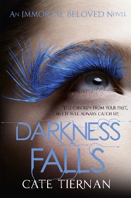 Book cover for Darkness Falls