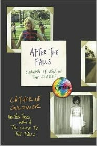 Cover of After the Falls