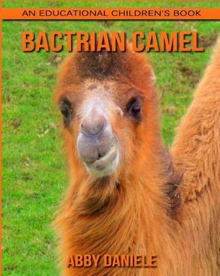 Book cover for Bactrian camel! An Educational Children's Book about Bactrian camel with Fun Facts & Photos