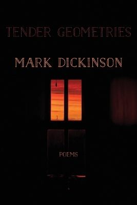 Book cover for Tender Geometries