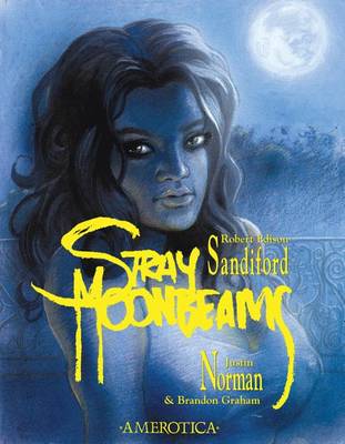 Book cover for Stray Moonbeams