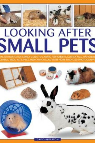 Cover of Looking After Small Pets