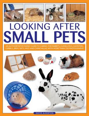 Book cover for Looking After Small Pets