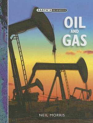 Book cover for Oil and Gas