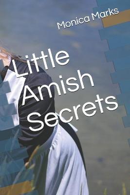 Book cover for Little Amish Secrets