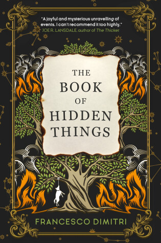 Cover of The Book of Hidden Things