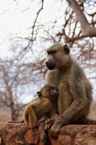 Cover of A Monkey and Her Baby (for the Love of Animals)