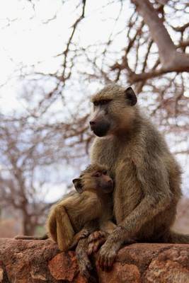 Book cover for A Monkey and Her Baby (for the Love of Animals)