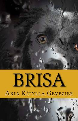 Book cover for Brisa