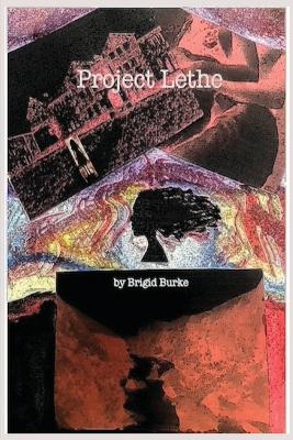 Book cover for Project Lethe