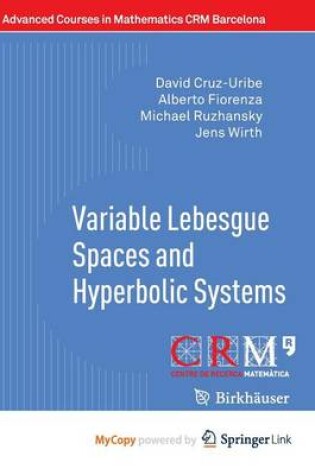 Cover of Variable Lebesgue Spaces and Hyperbolic Systems