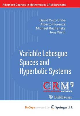 Book cover for Variable Lebesgue Spaces and Hyperbolic Systems