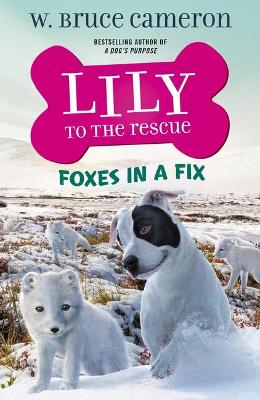 Book cover for Lily to the Rescue: Foxes in a Fix