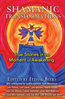 Cover of Shamanic Transformations