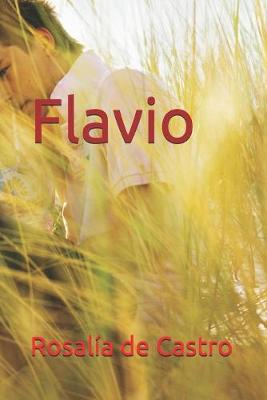 Book cover for Flavio