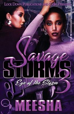 Book cover for Savage Storms 3