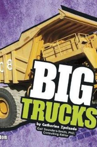 Cover of Big Trucks (Big)