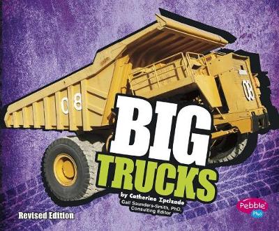 Book cover for Big Trucks (Big)