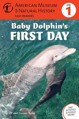 Book cover for Baby Dolphin's First Day
