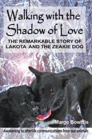 Cover of Walking with the Shadow of Love