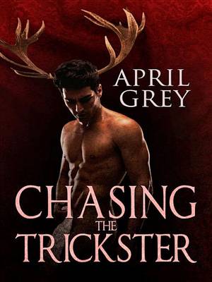 Book cover for Chasing the Trickster