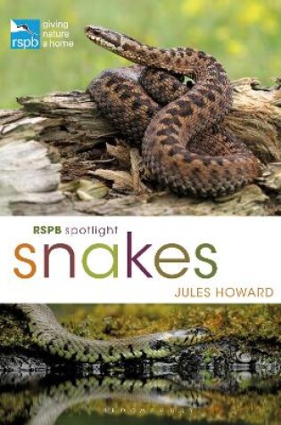Cover of RSPB Spotlight Snakes