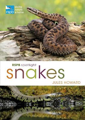 Book cover for RSPB Spotlight Snakes