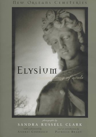 Cover of Elysium