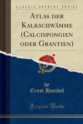 Book cover for Atlas Der Kalkschwämme (Calcispongien Oder Grantien) (Classic Reprint)