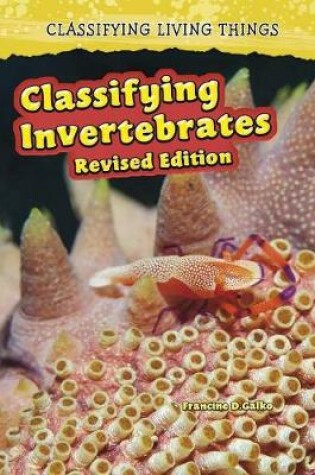 Cover of Classifying Invertebrates