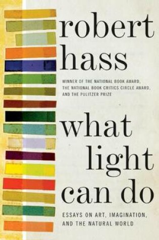 Cover of What Light Can Do