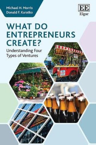 Cover of What do Entrepreneurs Create?