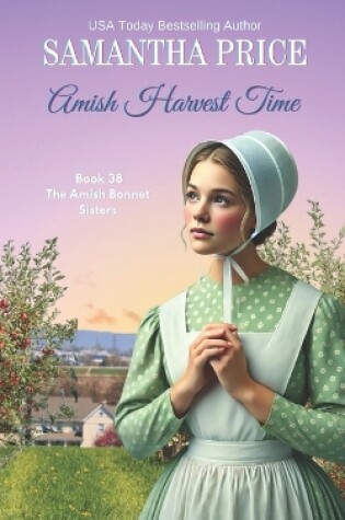 Cover of Amish Harvest Time