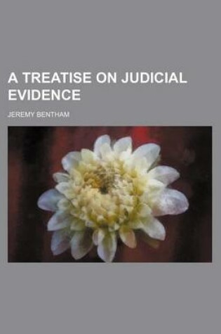 Cover of A Treatise on Judicial Evidence