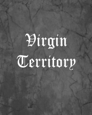 Book cover for Virgin Territory