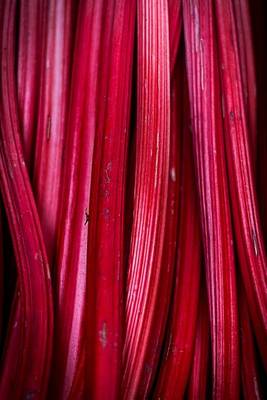 Book cover for Rhubarb Stalks Food Journal