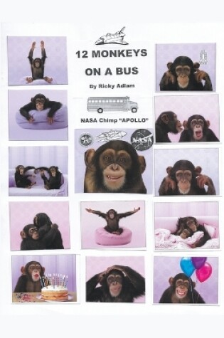 Cover of Twelve Monkeys on a Bus