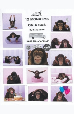 Book cover for Twelve Monkeys on a Bus