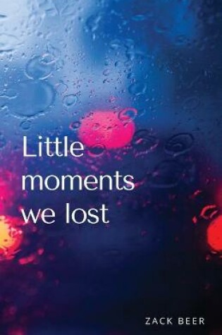 Cover of Little Moments We Lost