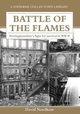 Cover of Battle of the Flames