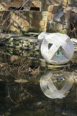 Book cover for Reflection Pond in Austin, Texas