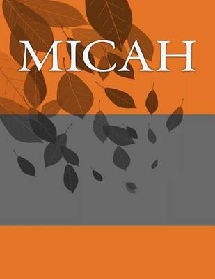 Book cover for Micah