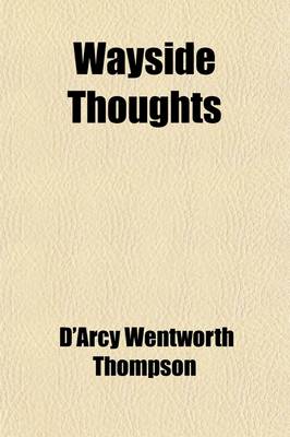 Book cover for Wayside Thoughts; Being a Series of Desultory Essays on Education