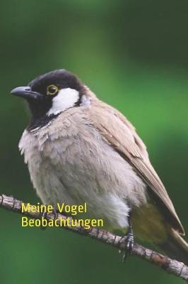 Book cover for Meine Vogel Beobachtungen
