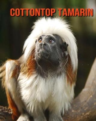 Book cover for Cottontop Tamarin