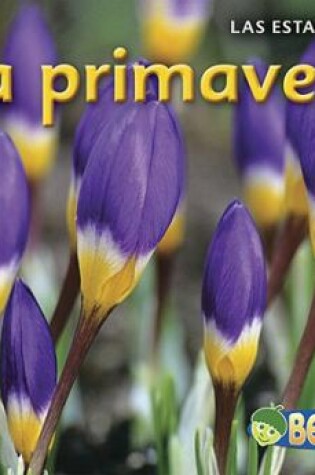 Cover of La Primavera