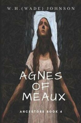 Cover of Agnes of Meaux