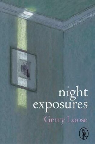 Cover of night exposures