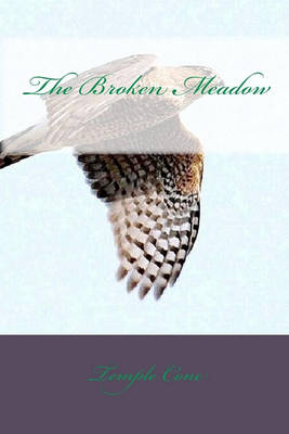 Book cover for The Broken Meadow