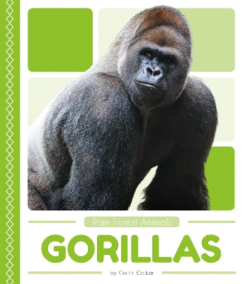 Book cover for Rain Forest Animals: Gorillas